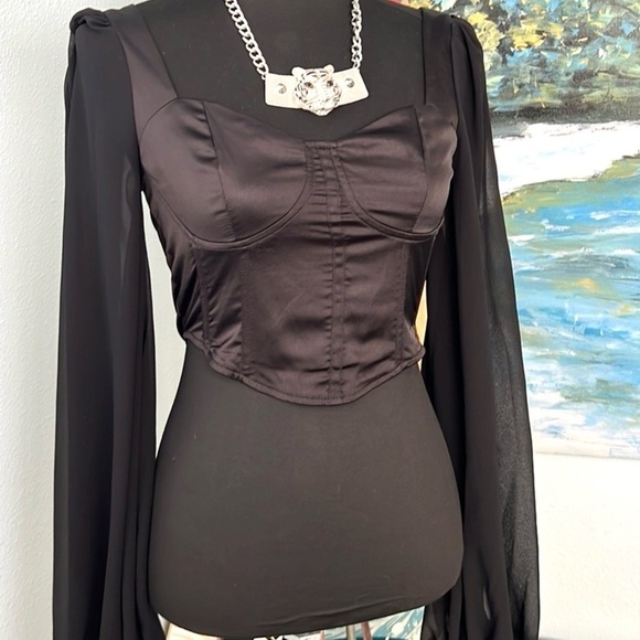 NWT,Misguided,Corset Top, Blouson Sheer Sleeves, Zipper Back, Beautiful, 6 - Picture 3 of 11